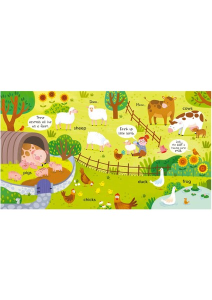 First Animals Book