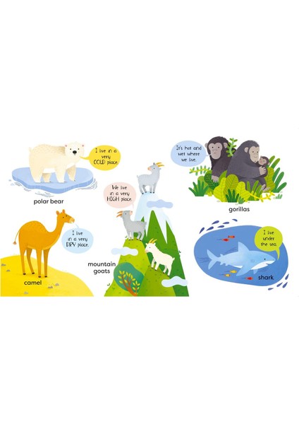 First Animals Book