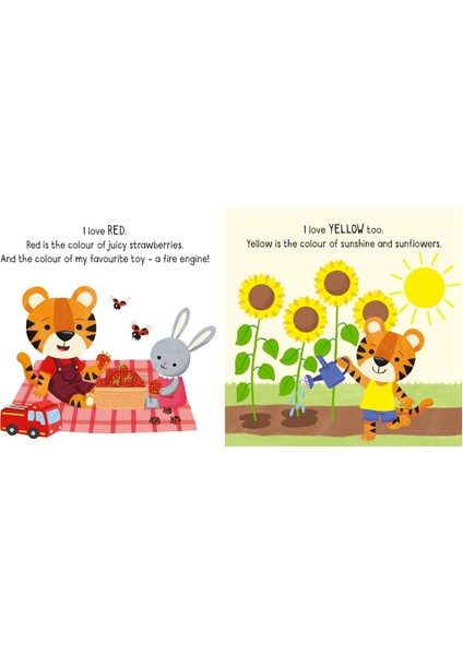 Colours Little Board Book