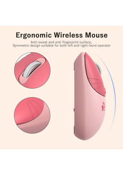 Mofii Wireless Mouse Kedi Tasarım Kablosuz Bilgisayar Notebook Usb Receiver Tak Çalıştır Pilli Fare modelleri