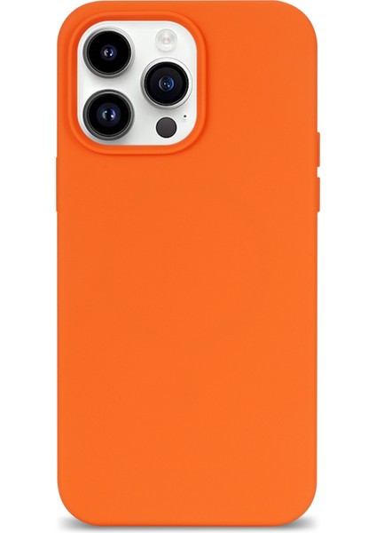 iPhone 14 Pro Max Telefon Kılıfı (Yurt Dışından)
