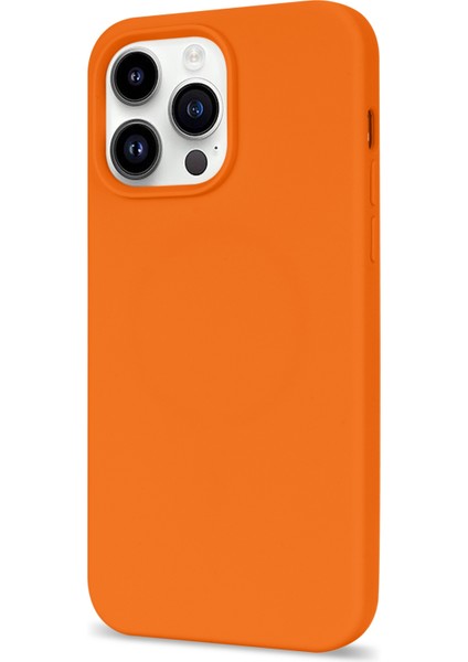 iPhone 14 Pro Max Telefon Kılıfı (Yurt Dışından)