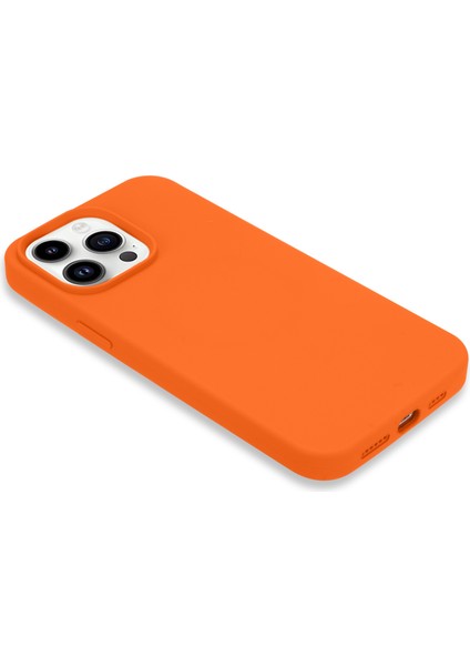 iPhone 14 Pro Max Telefon Kılıfı (Yurt Dışından)