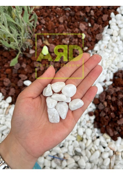 Dolomit Taşı 25 kg 2-4 cm Beyaz Dolomit Taş Dere Çakıl Taşı Bahçe Süs Taşı Teraryum Taşı Ard Peyzaj