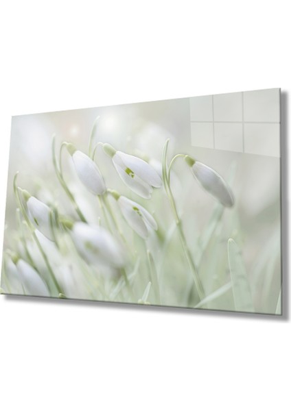 Biis Shine  Kardelen Çiçeği Cam Tablo   Snowdrop Flower