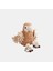 Dog Molar Toy- Bird Köpek Oyuncağı 1