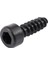 100 Adet 3mm x 10MM Konu Altıgen Kafa Akıllı Vidalar Siyah 15 Adet 608ZZ Çift Korumalı Rulmanlar Gümüş (Yurt Dışından) 5