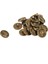 20 Adet Çinko Alaşımı At Kafası Oyma Yuvarlak Bronz Ton 15MM (5/8 Inç) Dia. (Yurt Dışından) 3