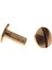 20X Ark Katı Pirinç Düğme Saplama Vida Çivi Vida Geri Deri Perçin Kemer 10MM (Yurt Dışından) 5
