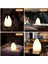 LED Ortam Işığı Açık Hava Kamp Işığı Kamp Işığı (Yurt Dışından) 3