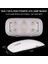Mini Tırnak kurutucu UV led lamba (6Watt) Beyaz 3