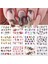 Su Transferli Nail Art Sticker D010 (52377-2) 3