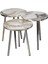 3 LÜ ZİGON SEHPA Vionessa Furniture ROUND COFFE TABLE METAL P20 LEGS COVE SILVER EFES 3