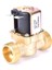 3/4 Elektrikli Solenoid Manyetik Valf Normalde Kapalı Pirinç Dc 12V 24V Ac 220V (Yurt Dışından) 4