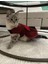 Kırmızı Siyah Kareli Papyonlu Dişi Kedi Köpek Kıyafeti Elbisesi Xlarge/xl/beden 4 1