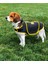 Köpekler Için Stres Azaltıcı Sarı Hug Shirt 2