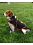 Köpekler Için Stres Azaltıcı Turuncu Hug Shirt 2