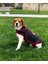Köpekler Için Stres Azaltıcı Kırmızı Hug Shirt 2