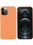 iPhone 14 Pro Max Telefon Kılıfı (Yurt Dışından) 1