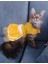 Sarı Puantiyeli Kurdeleli Kedi Köpek Kıyafeti Elbisesi 3