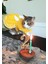 Sarı Puantiyeli Papyonlu Kedi Köpek Kıyafeti Elbisesi 1