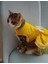 Sarı Puantiyeli Papyonlu Kedi Köpek Kıyafeti Elbisesi 4