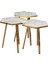 3 LÜ ZİGON SEHPA Vionessa Furniture HEXAGON COFFE TABLE METAL P20 LEGS COVE GOLD CARRE 3