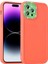 iPhone 14 Pro Max Telefon Kılıfı (Yurt Dışından) 1