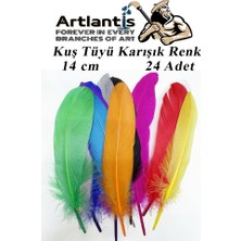 Artlantis Kuş Tüyü Renkli 24 Lü 1 Paket 14 cm Tüy Karışık Renk Hobi Okul Öncesi Kreş Anasınıfı Kuş ve Kaz Tüyü Renkli