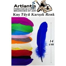 Artlantis Kuş Tüyü Renkli 24 Lü 1 Paket 14 cm Tüy Karışık Renk Hobi Okul Öncesi Kreş Anasınıfı Kuş ve Kaz Tüyü Renkli