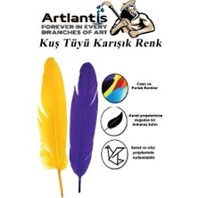 Artlantis Kuş Tüyü Renkli 24 Lü 1 Paket 14 cm Tüy Karışık Renk Hobi Okul Öncesi Kreş Anasınıfı Kuş ve Kaz Tüyü Renkli