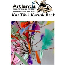 Artlantis Kuş Tüyü Renkli 24 Lü 1 Paket 14 cm Tüy Karışık Renk Hobi Okul Öncesi Kreş Anasınıfı Kuş ve Kaz Tüyü Renkli