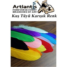 Artlantis Kuş Tüyü Renkli 12 Li 1 Paket 14 cm Tüy Karışık Renk Hobi Okul Öncesi Kreş Anasınıfı Kuş ve Kaz Tüyü Renkli