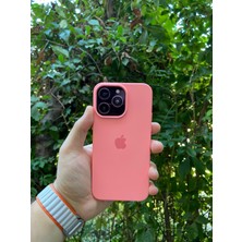 Meri Case Apple iPhone 15 Pro Uyumlu Logolu Içi Kadife Lansman Kılıf Arka Kapak