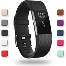 Betty Becky Fitbit Charge 2 Için Diamond Klasik Bantlar Askılar, Büyük Küçük (Yurt Dışından)