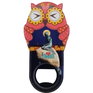 Dünyadan Hediyeler Danimarka Temalı Baykuş Magnet Kapak Açacak