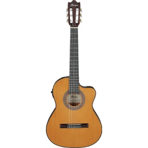 GA5TCE3Q-AM Ga Serisi 3/4 Elektro Klasik Gitar