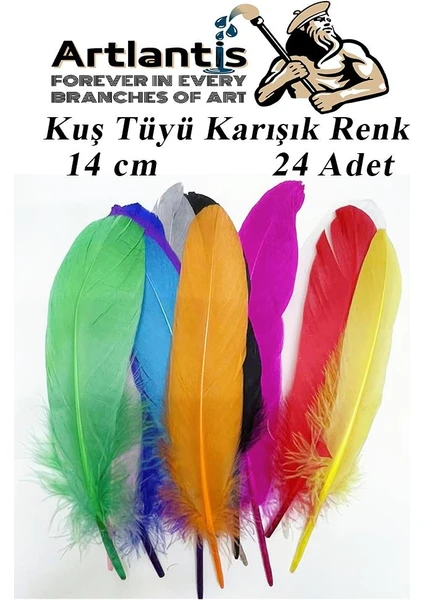 Kuş Tüyü Renkli 24 Lü 1 Paket 14 cm Tüy Karışık Renk Hobi Okul Öncesi Kreş Anasınıfı Kuş ve Kaz Tüyü Renkli