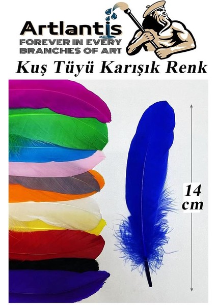 Kuş Tüyü Renkli 24 Lü 1 Paket 14 cm Tüy Karışık Renk Hobi Okul Öncesi Kreş Anasınıfı Kuş ve Kaz Tüyü Renkli