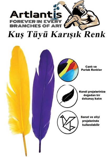 Kuş Tüyü Renkli 24 Lü 1 Paket 14 cm Tüy Karışık Renk Hobi Okul Öncesi Kreş Anasınıfı Kuş ve Kaz Tüyü Renkli