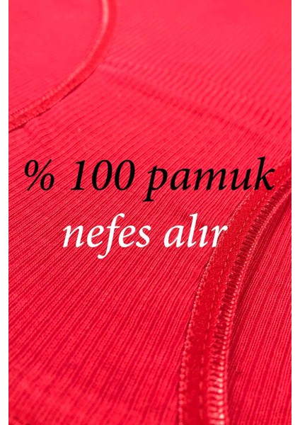 12 Adet Fitilli Pamuklu Kadın Kaşkorse Bikini Külot