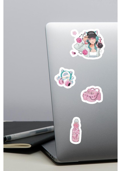 Estetik Pembe Aşko Kuşko Sticker Seti - Ajanda - Telefon - Laptop Sticker Seti 16 Adet