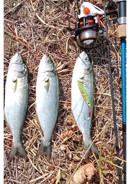 Sardin 34G - Sahte Yem Kaşık Rapala - Levrek, Palamut, Lüfer, Çinekop, Turna İçin En İyi Uv Jig Yem modelleri