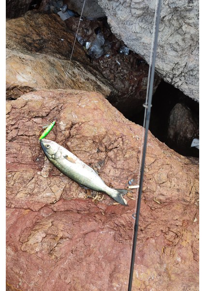 Sardin 34G - Sahte Yem Kaşık Rapala - Levrek, Palamut, Lüfer, Çinekop, Turna İçin En İyi Uv Jig Yem indirimleri