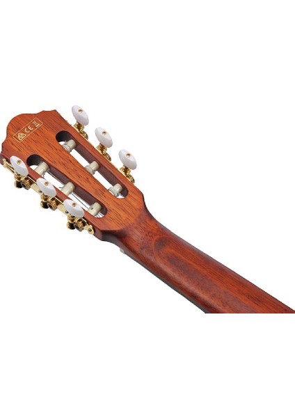 AEG50N-NT Elektro Klasik Gitar