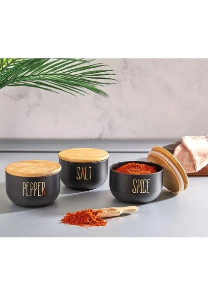 3'lü Yaldızlı Baharat Seti Salt-Pepper-Spice