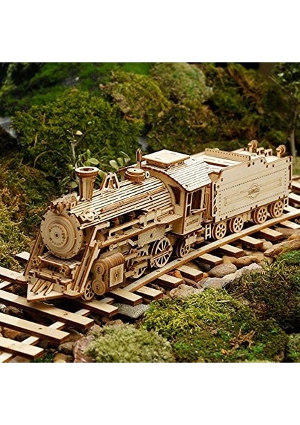 Dıy 3D Ahşap Yapboz -U2013 Prime Steam Express Tren Lazer Kesim Montajı 1:80 Ölçekli Model Oluşturma Seti Zeka Oyunları Eğitici Stem Oyuncak Yetişkinler Gençler Güvenli ve Toksik O (Yurt Dışından)