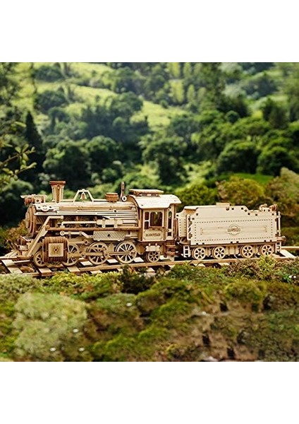 Dıy 3D Ahşap Yapboz -U2013 Prime Steam Express Tren Lazer Kesim Montajı 1:80 Ölçekli Model Oluşturma Seti Zeka Oyunları Eğitici Stem Oyuncak Yetişkinler Gençler Güvenli ve Toksik O (Yurt Dışından)
