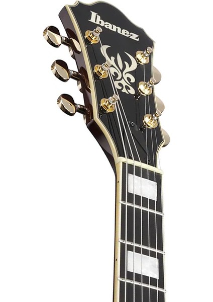 AS93BC-BK Hollow Body Elektro Gitar fırsatları