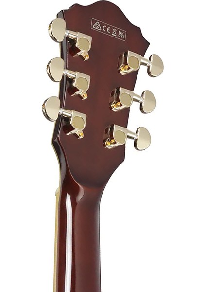 AS93BC-BK Hollow Body Elektro Gitar indirimleri